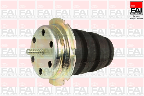 Mounting, axle strut